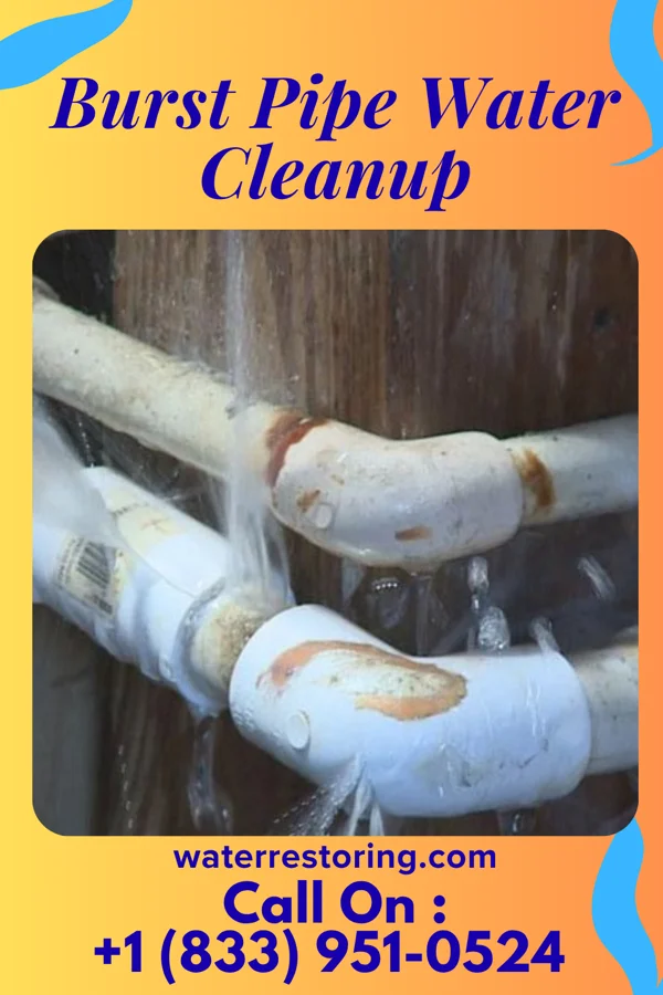 Burst Pipe Water Cleanup in Sorgho, KY