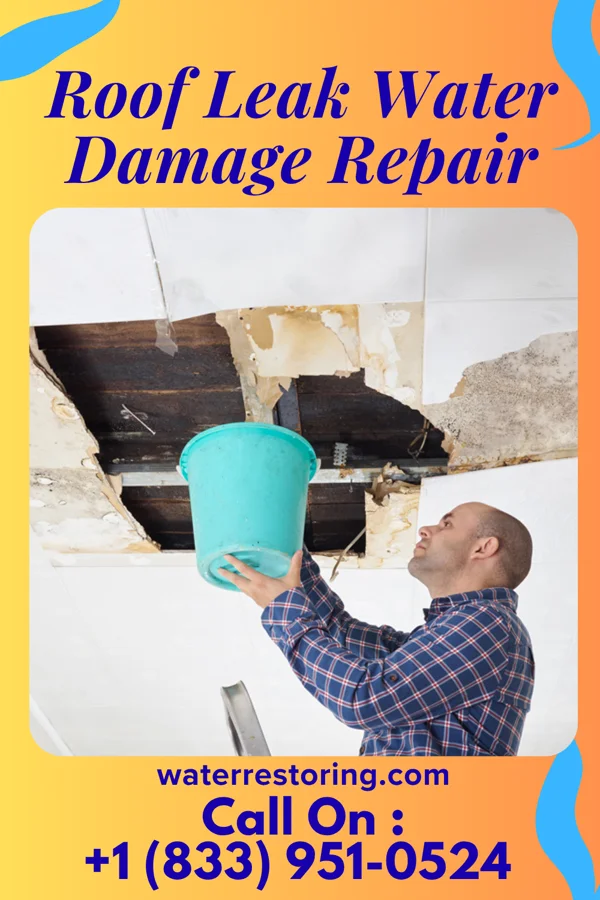 Roof Leak Water Damage Repair in Sorgho, KY