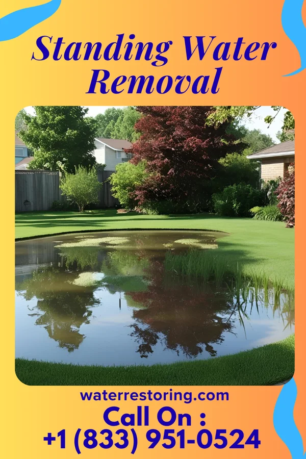 Standing Water Removal in Sorgho, KY